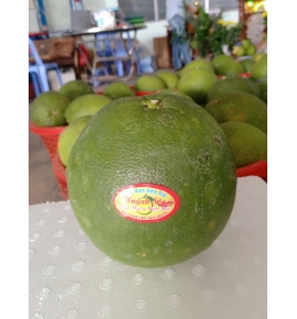 BƯỞI DA XANH HUỲNH SƠN BẾN TRE