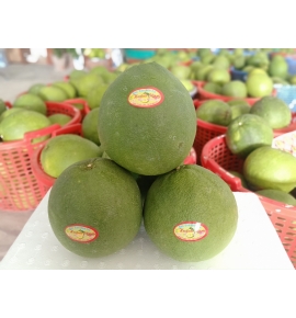 BƯỞI DA XANH LOẠI 1