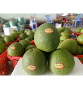 BƯỞI BẾN TRE