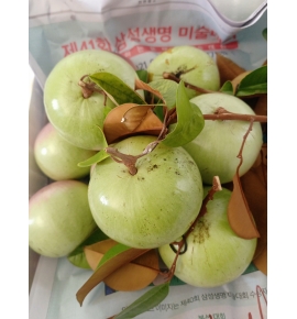 VÚ SỮA LÒ RÈN 