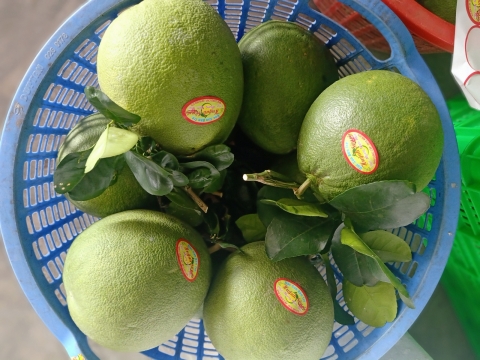 Sỉ lẻ bưởi da xanh